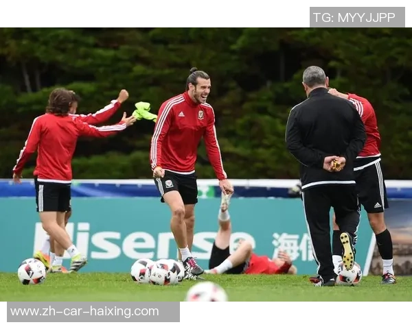 2016欧洲杯比利时对阵威尔士比赛盘口分析与预测