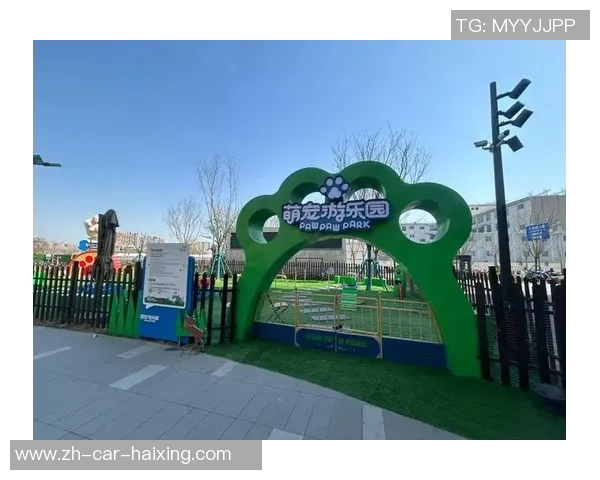 “握个爪”,杨浦体育赛事引进“宠物赛道” “握个爪”,杨浦体育赛事引进“宠物赛道”